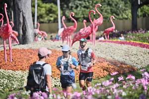 BIB: 
                            <button type="button" onclick="openModal(27793210)" class="btn btn-primary btn-sm float-right btn-popup" data-toggle="modal" data-target=".modal-high-quality">
                        <i class="fas fa-shopping-cart"></i> Add to Cart
                    </button>
                                            <button type="button" onclick="isThisMe(27793210, true)" class="btn btn-success btn-sm float-right btn-popup btn-isme hidden" data-toggle="tooltip" data-placement="bottom" title="นี่คือรูปของคุณใช่ไหม คลิกที่นี่เพื่อเอาเข้าอัลบั้ม">
                        <i class="fas fa-plus"></i> Add to album
                    </button>
                    <button type="button" onclick="isThisMe(27793210, false)" class="btn btn-warning btn-sm float-right btn-popup btn-isnotme hidden">
                        <i class="fas fa-ban"></i> Remove from album
                    </button>